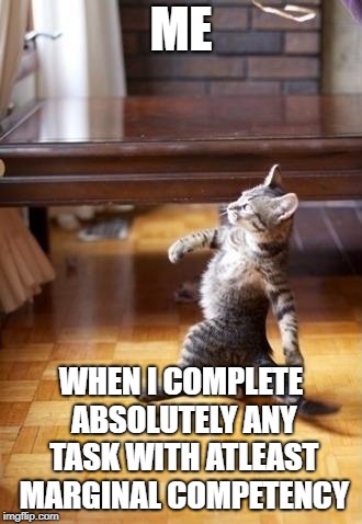 Cool Cat Stroll Meme | ME; WHEN I COMPLETE ABSOLUTELY ANY TASK WITH ATLEAST MARGINAL COMPETENCY | image tagged in memes,cool cat stroll | made w/ Imgflip meme maker
