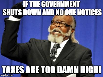 What If We Really Don't Need This Much Government? | IF THE GOVERNMENT SHUTS DOWN AND NO ONE NOTICES; TAXES ARE TOO DAMN HIGH! | image tagged in memes,too damn high,political meme | made w/ Imgflip meme maker