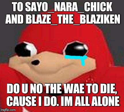 i wish i could talk to somebody | TO SAYO_NARA_CHICK AND BLAZE_THE_BLAZIKEN; DO U NO THE WAE TO DIE, CAUSE I DO. IM ALL ALONE | image tagged in do u know dae wae,sayo_nara_chick,blaze_the_blaziken,death,lonely,sad | made w/ Imgflip meme maker