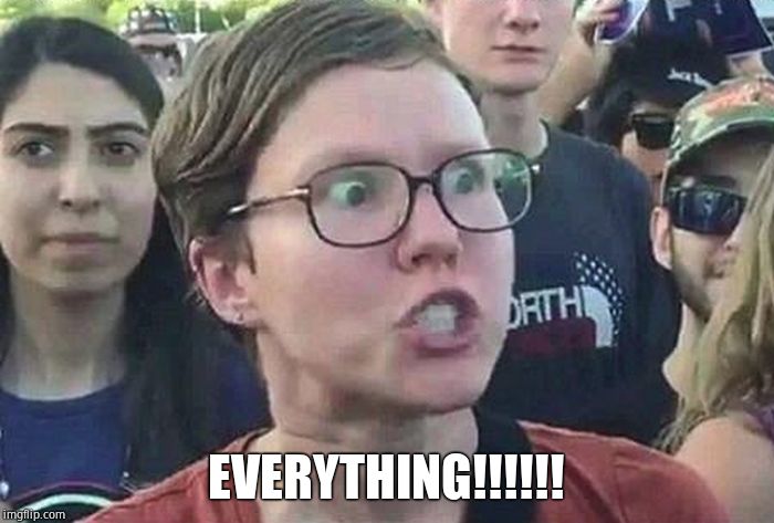 Triggered Liberal | EVERYTHING!!!!!! | image tagged in triggered liberal | made w/ Imgflip meme maker
