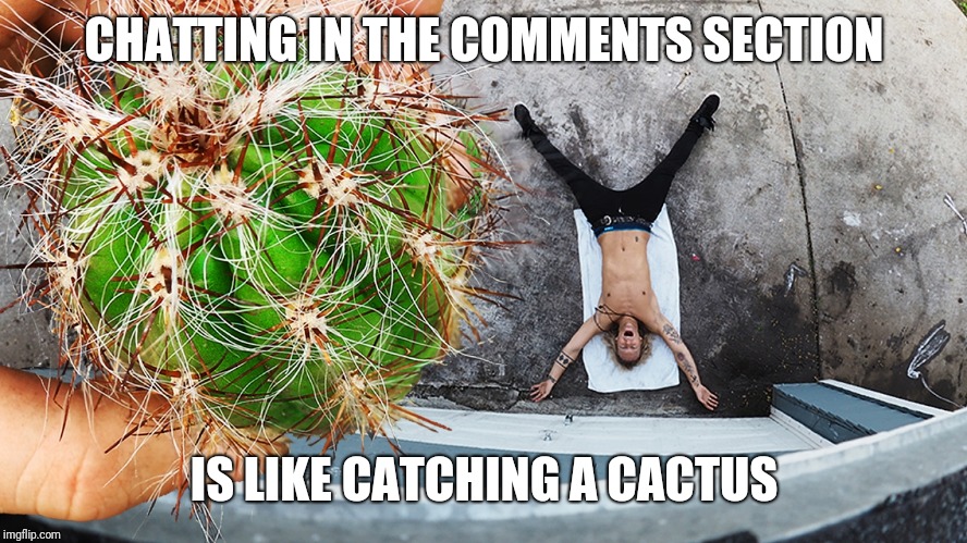 Cactus Catch | CHATTING IN THE COMMENTS SECTION; IS LIKE CATCHING A CACTUS | image tagged in cactus catch,beyondthecomments | made w/ Imgflip meme maker