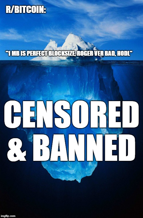 iceberg | R/BITCOIN:; "1 MB IS PERFECT BLOCKSIZE, ROGER VER BAD, HODL"; CENSORED & BANNED | image tagged in iceberg | made w/ Imgflip meme maker