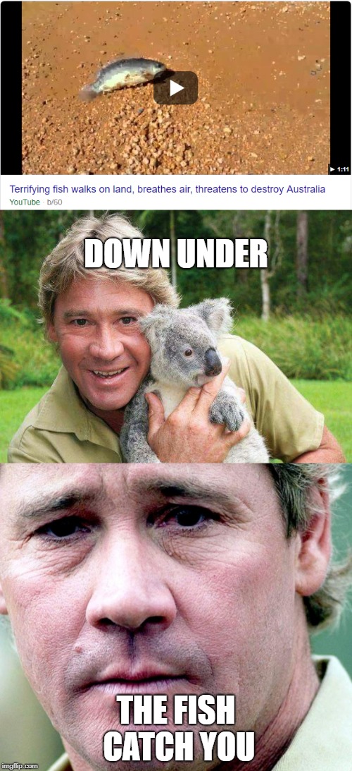 no one would even notice, though | DOWN UNDER; THE FISH CATCH YOU | image tagged in steve irwin,steve irwin crocodile hunter,down under,australia,memes | made w/ Imgflip meme maker