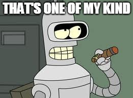 Bender | THAT'S ONE OF MY KIND | image tagged in bender | made w/ Imgflip meme maker