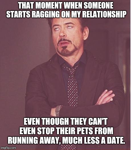 Face You Make Robert Downey Jr | THAT MOMENT WHEN SOMEONE STARTS RAGGING ON MY RELATIONSHIP; EVEN THOUGH THEY CAN'T EVEN STOP THEIR PETS FROM RUNNING AWAY, MUCH LESS A DATE. | image tagged in memes,face you make robert downey jr | made w/ Imgflip meme maker