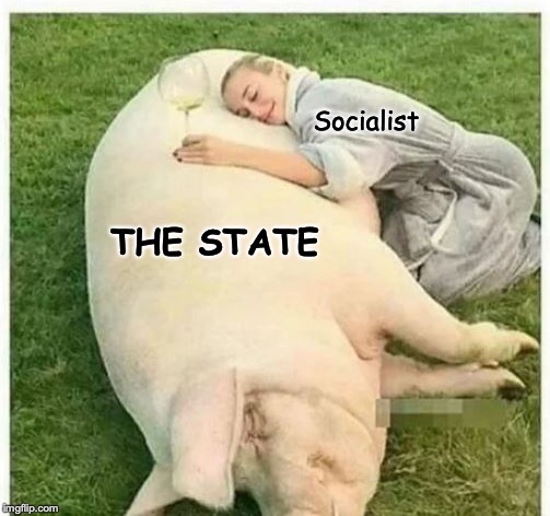 A Life-Time Of Pork | Socialist; THE STATE | image tagged in socialism,pork | made w/ Imgflip meme maker