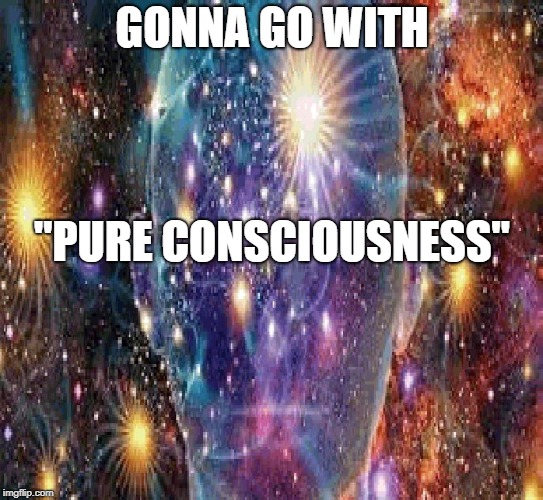 Cosmic Consciousness | GONNA GO WITH "PURE CONSCIOUSNESS" | image tagged in cosmic consciousness | made w/ Imgflip meme maker