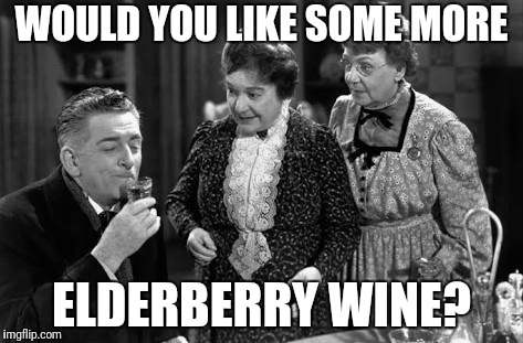 WOULD YOU LIKE SOME MORE ELDERBERRY WINE? | made w/ Imgflip meme maker