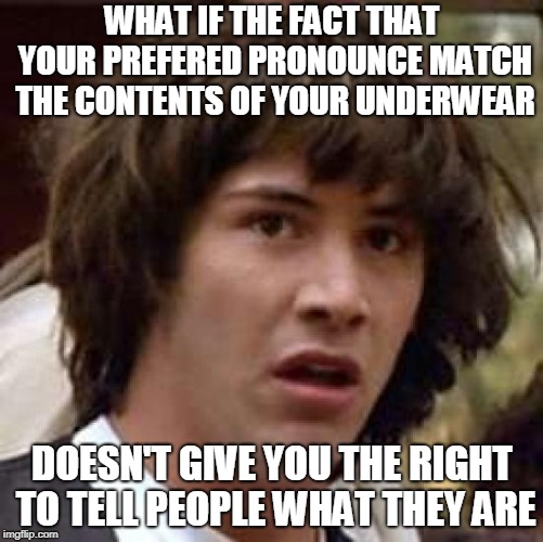Just A Radical Idea | WHAT IF THE FACT THAT YOUR PREFERED PRONOUNCE MATCH THE CONTENTS OF YOUR UNDERWEAR; DOESN'T GIVE YOU THE RIGHT TO TELL PEOPLE WHAT THEY ARE | image tagged in memes,conspiracy keanu,lgbtq,2 genders,conservative logic,illogical | made w/ Imgflip meme maker