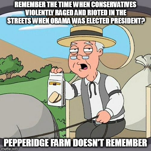 Cuz it didn't happen | REMEMBER THE TIME WHEN CONSERVATIVES VIOLENTLY RAGED AND RIOTED IN THE STREETS WHEN OBAMA WAS ELECTED PRESIDENT? PEPPERIDGE FARM DOESN'T REMEMBER | image tagged in memes,pepperidge farm remembers,politics,liberal violence | made w/ Imgflip meme maker