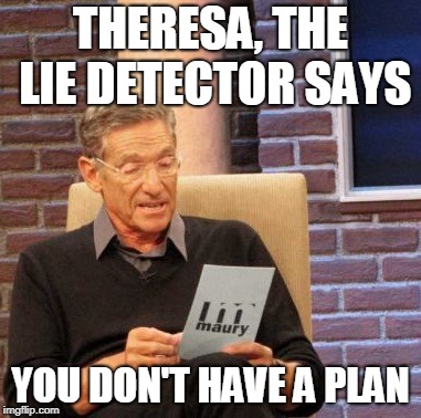 Maury Lie Detector | THERESA, THE LIE DETECTOR SAYS; YOU DON'T HAVE A PLAN | image tagged in memes,maury lie detector | made w/ Imgflip meme maker