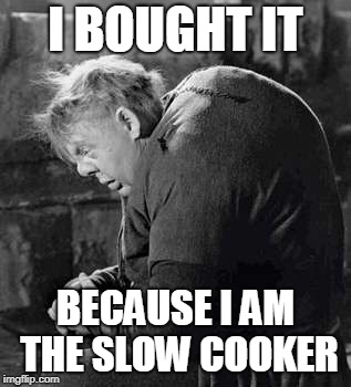 I BOUGHT IT BECAUSE I AM THE SLOW COOKER | made w/ Imgflip meme maker