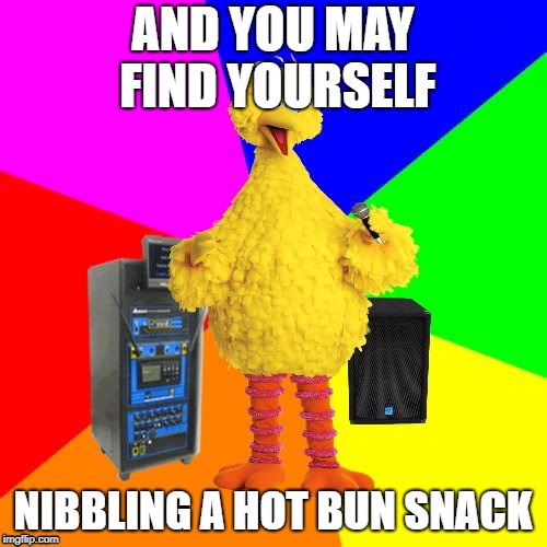 And you may ask yourself how did I get to Sesame Street? | AND YOU MAY FIND YOURSELF NIBBLING A HOT BUN SNACK | image tagged in wrong lyrics karaoke big bird,talking heads | made w/ Imgflip meme maker