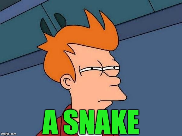 Not sure if- fry | A SNAKE | image tagged in not sure if- fry | made w/ Imgflip meme maker