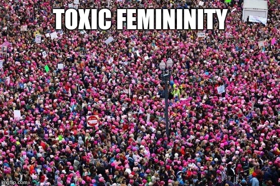Women's March Toxic Femininity | TOXIC FEMININITY | image tagged in womens march,toxic femininity,abortion is murder | made w/ Imgflip meme maker