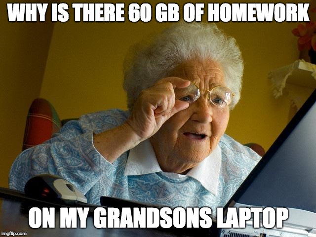 Grandma Finds The Internet | WHY IS THERE 60 GB OF HOMEWORK; ON MY GRANDSONS LAPTOP | image tagged in memes,grandma finds the internet | made w/ Imgflip meme maker