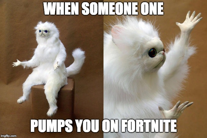 Persian Cat Room Guardian Meme | WHEN SOMEONE ONE; PUMPS YOU ON FORTNITE | image tagged in memes,persian cat room guardian | made w/ Imgflip meme maker