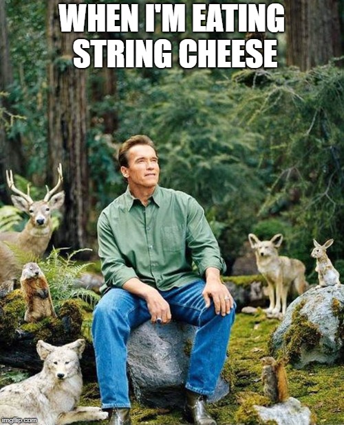 Arnold nature | WHEN I'M EATING STRING CHEESE | image tagged in arnold nature | made w/ Imgflip meme maker
