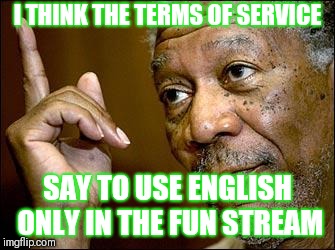 This Morgan Freeman | I THINK THE TERMS OF SERVICE SAY TO USE ENGLISH ONLY IN THE FUN STREAM | image tagged in this morgan freeman | made w/ Imgflip meme maker