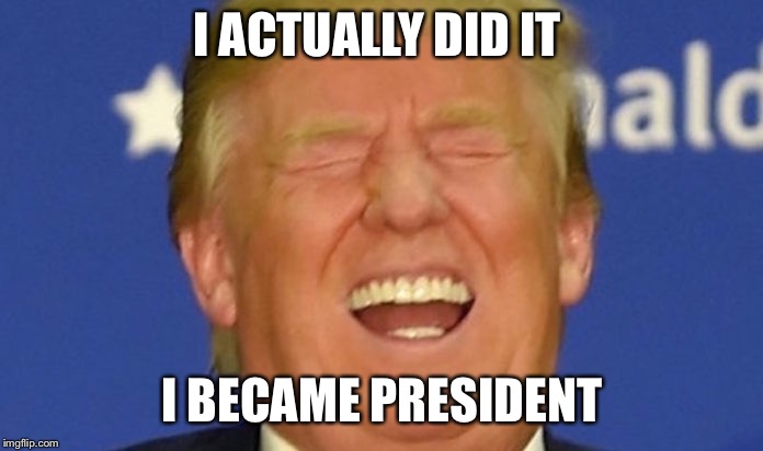 Trump laughing | I ACTUALLY DID IT; I BECAME PRESIDENT | image tagged in trump laughing | made w/ Imgflip meme maker