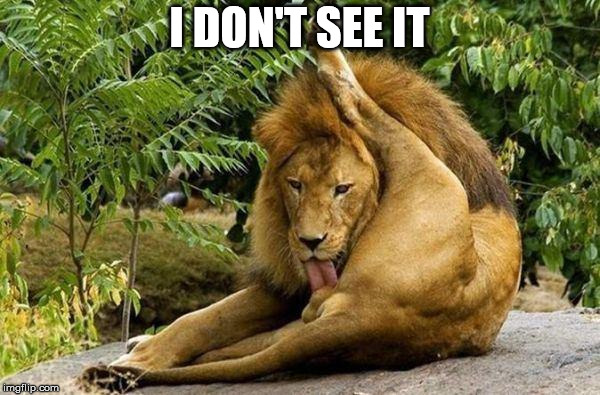 lion licking balls | I DON'T SEE IT | image tagged in lion licking balls | made w/ Imgflip meme maker