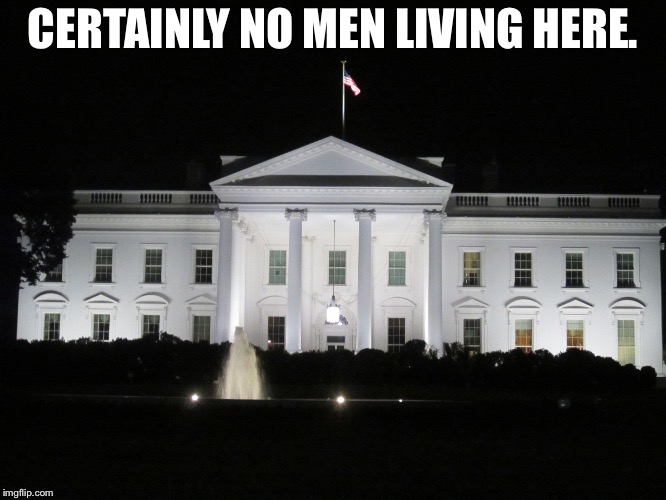 white house at night | CERTAINLY NO MEN LIVING HERE. | image tagged in white house at night | made w/ Imgflip meme maker