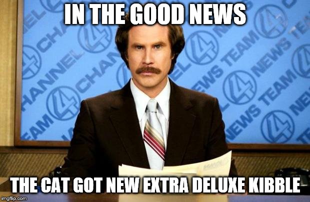 BREAKING NEWS | IN THE GOOD NEWS THE CAT GOT NEW EXTRA DELUXE KIBBLE | image tagged in breaking news | made w/ Imgflip meme maker