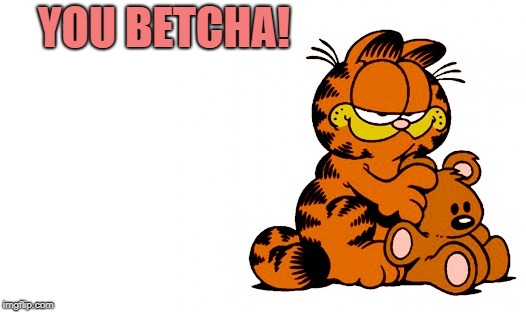 garfield | YOU BETCHA! | image tagged in garfield | made w/ Imgflip meme maker