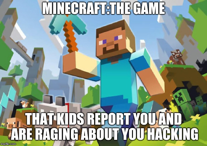 minecraft the game info | MINECRAFT:THE GAME; THAT KIDS REPORT YOU AND ARE RAGING ABOUT YOU HACKING | image tagged in minecraft,gaming,raging,report | made w/ Imgflip meme maker