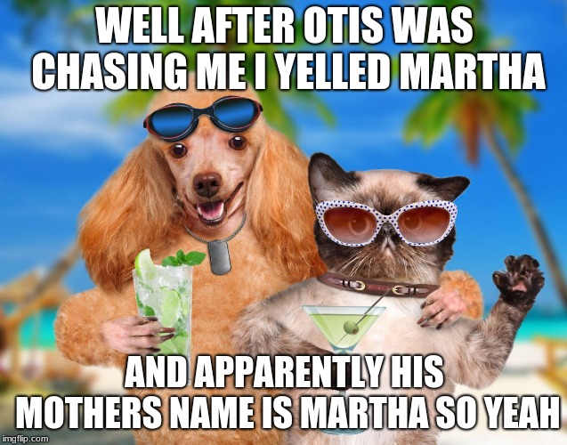 batcat v superdog the dawn of justice | WELL AFTER OTIS WAS CHASING ME I YELLED MARTHA; AND APPARENTLY HIS MOTHERS NAME IS MARTHA SO YEAH | image tagged in cat and dog sipping cocktails,batcat v superdog the dawn of justice,batcat,superdog,dog,cat | made w/ Imgflip meme maker