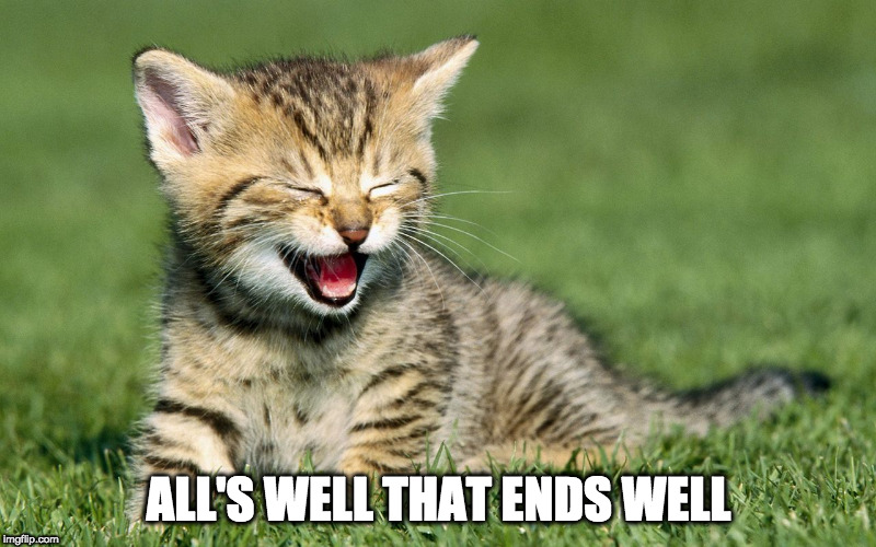 laughing cat | ALL'S WELL THAT ENDS WELL | image tagged in laughing cat | made w/ Imgflip meme maker