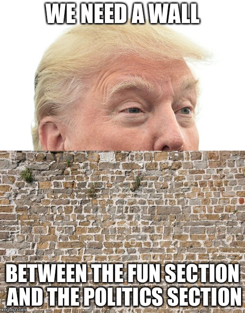 Trump Wall | WE NEED A WALL BETWEEN THE FUN SECTION AND THE POLITICS SECTION | image tagged in trump wall | made w/ Imgflip meme maker