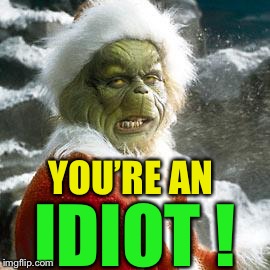 grinch | YOU’RE AN IDIOT ! | image tagged in grinch | made w/ Imgflip meme maker