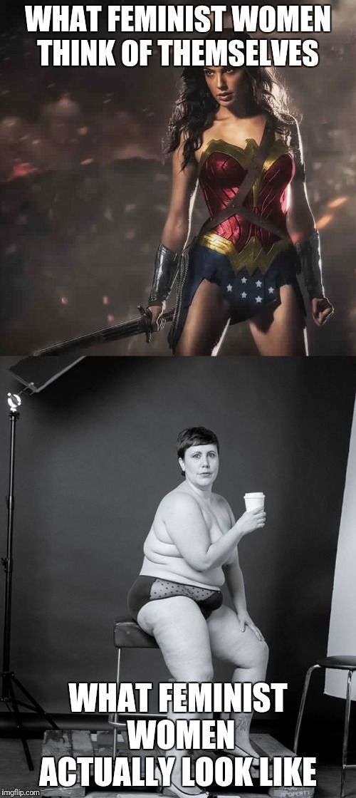 Gotta thank ladydeerhart for this meme :D | WHAT FEMINIST WOMEN THINK OF THEMSELVES; WHAT FEMINIST WOMEN ACTUALLY LOOK LIKE | image tagged in badass wonder woman,feminism | made w/ Imgflip meme maker