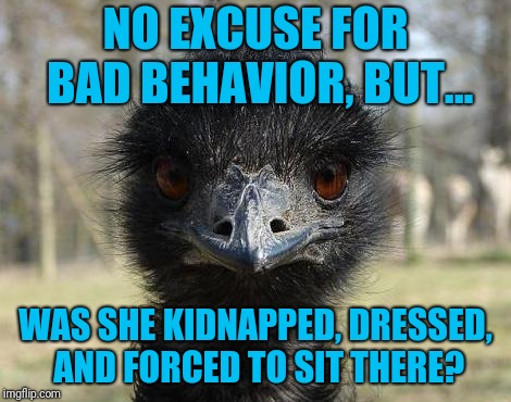 Bad News Emu | NO EXCUSE FOR BAD BEHAVIOR, BUT... WAS SHE KIDNAPPED, DRESSED, AND FORCED TO SIT THERE? | image tagged in bad news emu | made w/ Imgflip meme maker