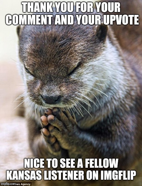 Thank you Lord Otter | THANK YOU FOR YOUR COMMENT AND YOUR UPVOTE NICE TO SEE A FELLOW KANSAS LISTENER ON IMGFLIP | image tagged in thank you lord otter | made w/ Imgflip meme maker