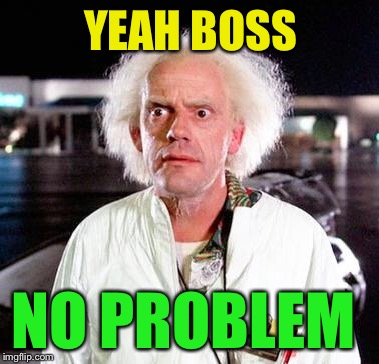 Doc Brown | YEAH BOSS NO PROBLEM | image tagged in doc brown | made w/ Imgflip meme maker