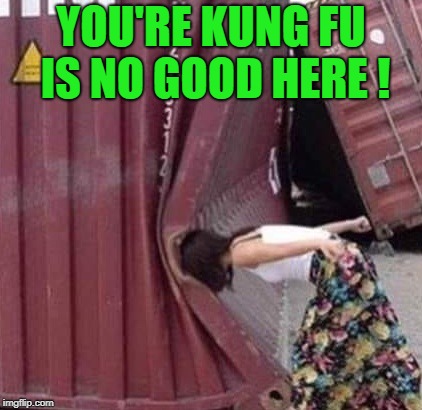 kung fu master | YOU'RE KUNG FU IS NO GOOD HERE ! | image tagged in kung fu,joke,no good here | made w/ Imgflip meme maker