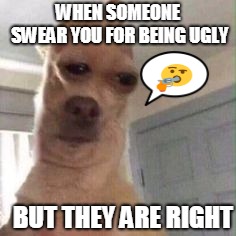 sad story bro | WHEN SOMEONE SWEAR YOU FOR BEING UGLY; BUT THEY ARE RIGHT | image tagged in dog,swearing,rip | made w/ Imgflip meme maker