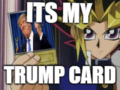 ITS MY; TRUMP CARD | image tagged in american politics | made w/ Imgflip meme maker