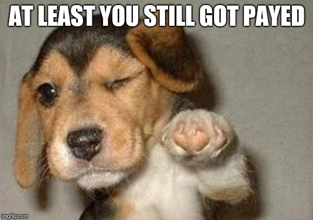 Winking Dog | AT LEAST YOU STILL GOT PAYED | image tagged in winking dog | made w/ Imgflip meme maker