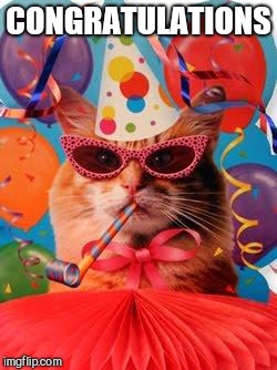 Cat Celebration! | CONGRATULATIONS | image tagged in cat celebration | made w/ Imgflip meme maker