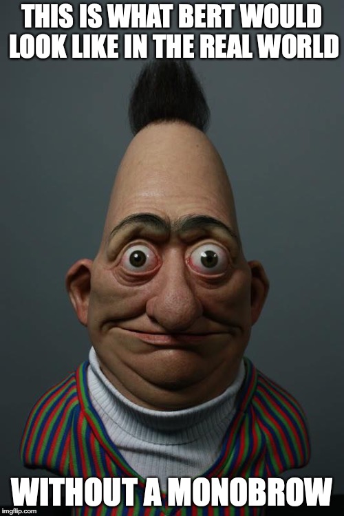 Bert in Real Life | THIS IS WHAT BERT WOULD LOOK LIKE IN THE REAL WORLD; WITHOUT A MONOBROW | image tagged in bert,sesame street,real life,memes | made w/ Imgflip meme maker