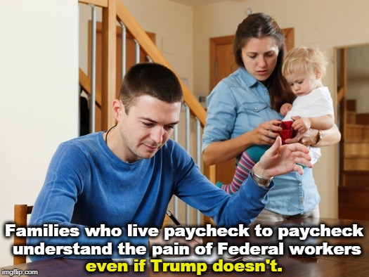 Families who live paycheck to paycheck understand the pain of Federal workers; even if Trump doesn't. | image tagged in trump,federal workers,paycheck,pain | made w/ Imgflip meme maker