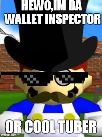Wallet Inspecta SMG4 | HEWO,IM DA WALLET INSPECTOR; OR COOL TUBER | image tagged in wallet inspecta smg4 | made w/ Imgflip meme maker