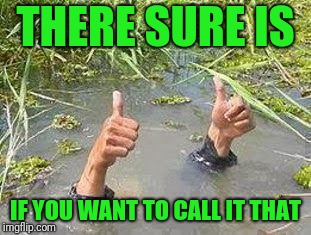 FLOODING THUMBS UP | THERE SURE IS IF YOU WANT TO CALL IT THAT | image tagged in flooding thumbs up | made w/ Imgflip meme maker