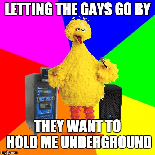 Wrong lyrics karaoke big bird | LETTING THE GAYS GO BY THEY WANT TO HOLD ME UNDERGROUND | image tagged in wrong lyrics karaoke big bird | made w/ Imgflip meme maker