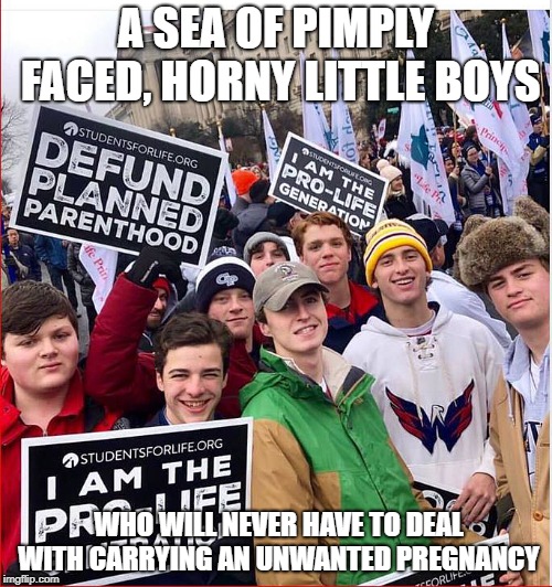 Boys don't know | A SEA OF PIMPLY FACED, HORNY LITTLE BOYS; WHO WILL NEVER HAVE TO DEAL WITH CARRYING AN UNWANTED PREGNANCY | image tagged in pro life boys,students for life,planned parenthood | made w/ Imgflip meme maker