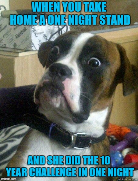 Beer goggles are cool at the time but... | WHEN YOU TAKE HOME A ONE NIGHT STAND; AND SHE DID THE 10 YEAR CHALLENGE IN ONE NIGHT | image tagged in dog shocked,memes,one night stand,funny,10 year challenge,dating | made w/ Imgflip meme maker