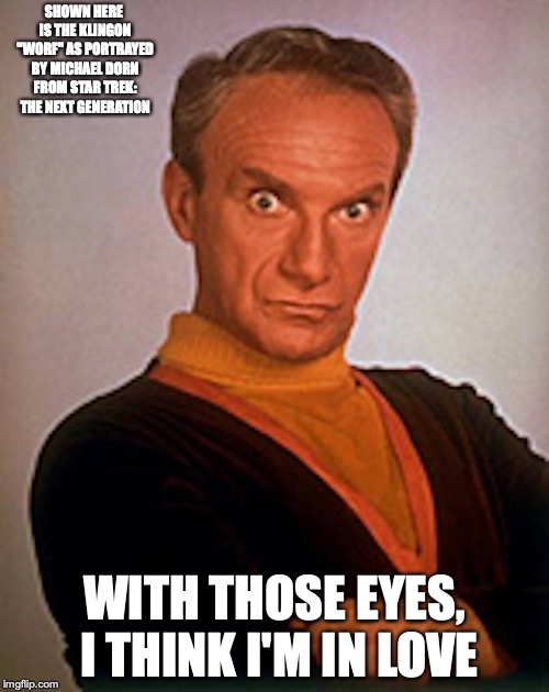 Dr. Smith | SHOWN HERE IS THE KLINGON "WORF" AS PORTRAYED BY MICHAEL DORN FROM STAR TREK: THE NEXT GENERATION; WITH THOSE EYES, I THINK I'M IN LOVE | image tagged in klingon,memes,worf | made w/ Imgflip meme maker